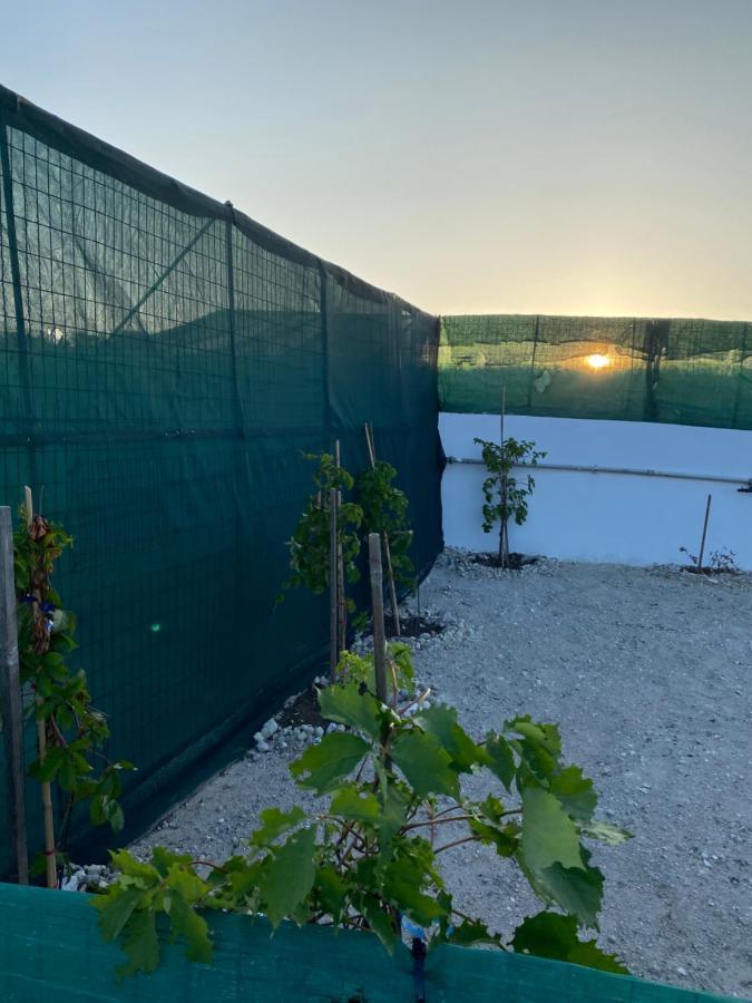 Villa Amato Mandrakia Esterno foto