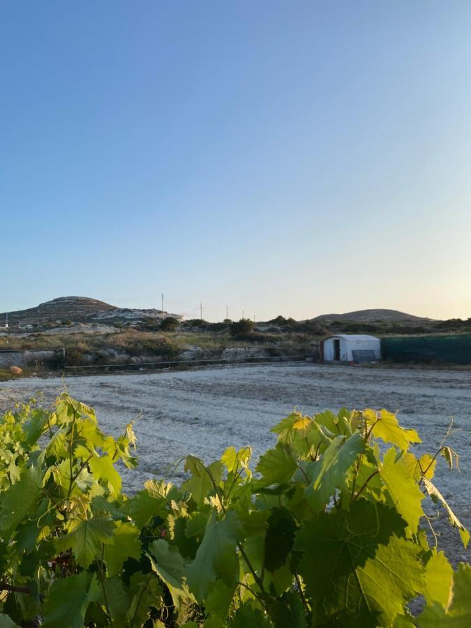Villa Amato Mandrakia Esterno foto