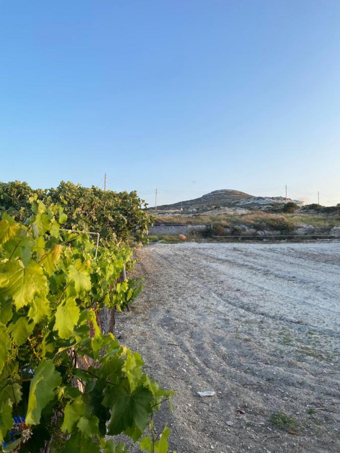 Villa Amato Mandrakia Esterno foto
